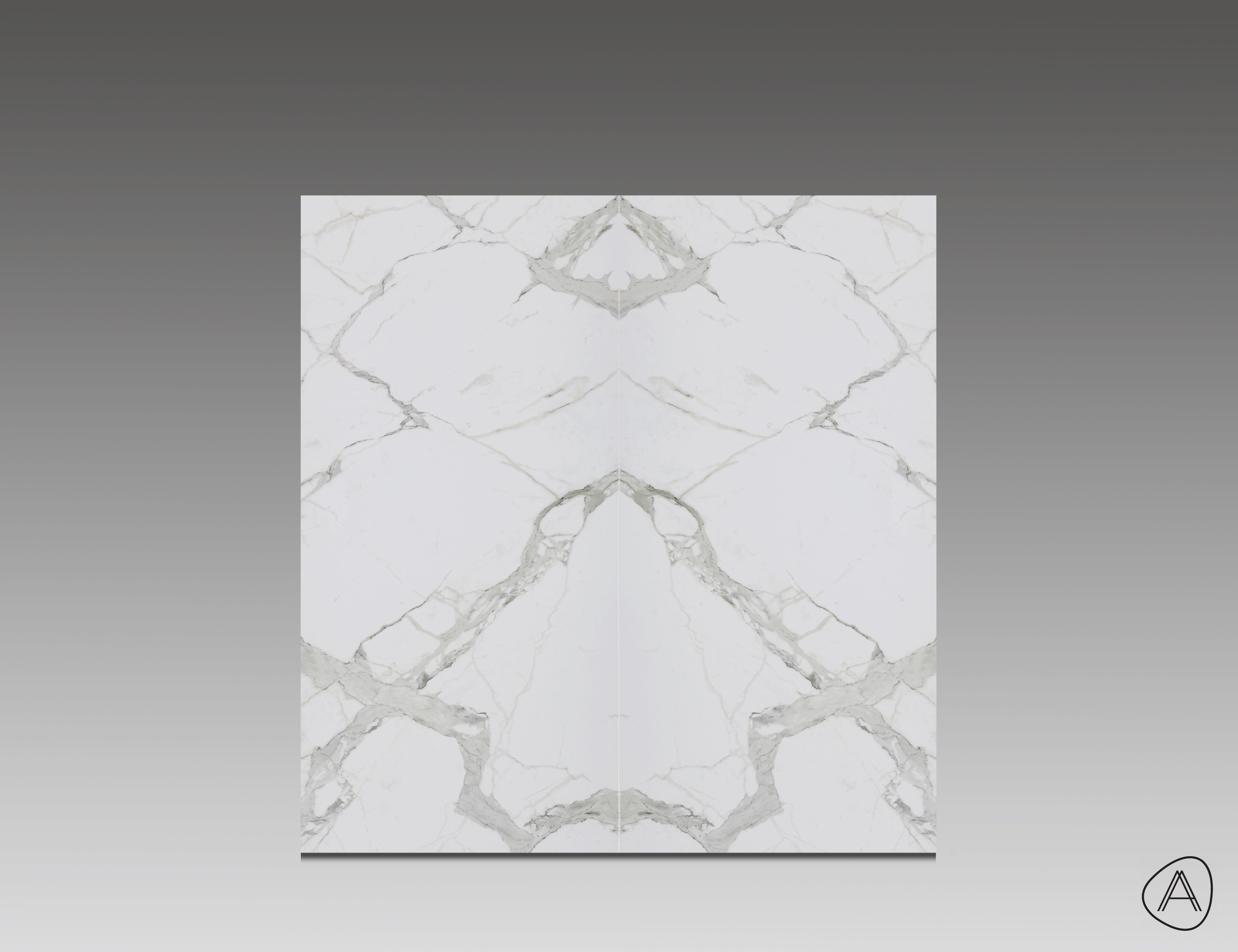 Calacatta OMG Tech Satin  T24   M+A   2L.jpg